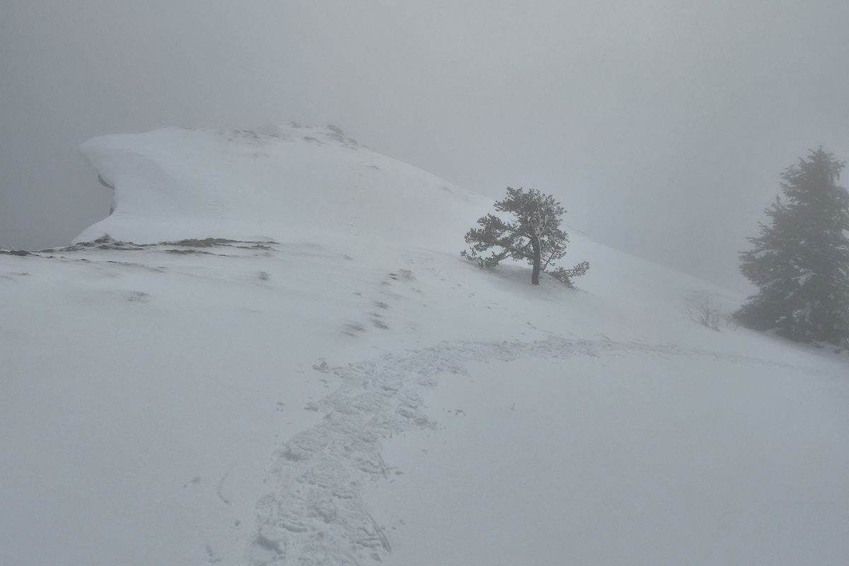 Des traces de pas sur un plateau enneigé, dans le brouillard
